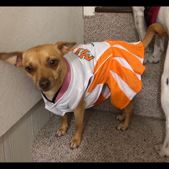 Meet your Posher, Jill - Picture 7 of 12